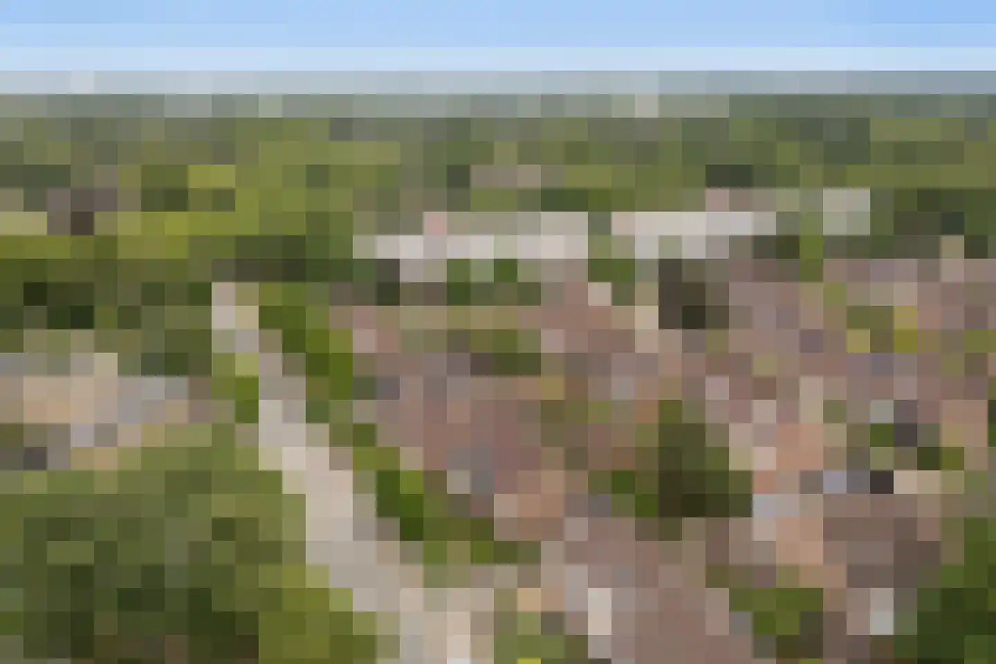 Nienhof 17 Ede thumbnail 49