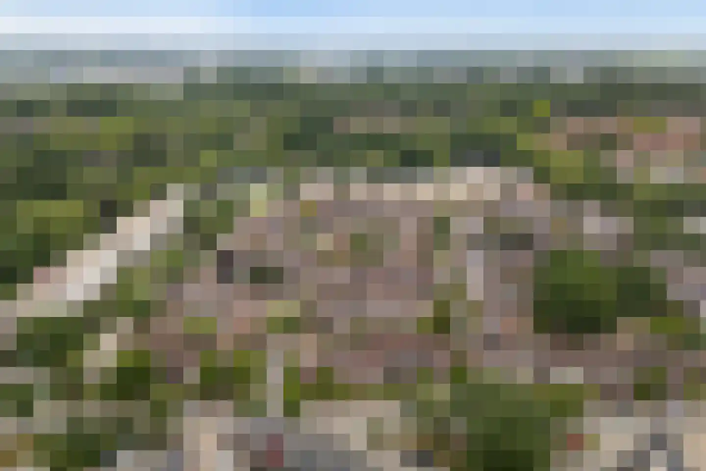 Nienhof 17 Ede thumbnail 50