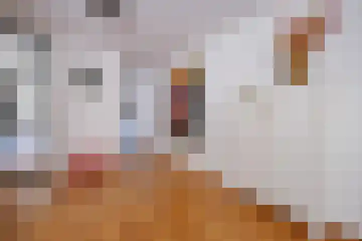 Nienhof 2 Ede thumbnail 11