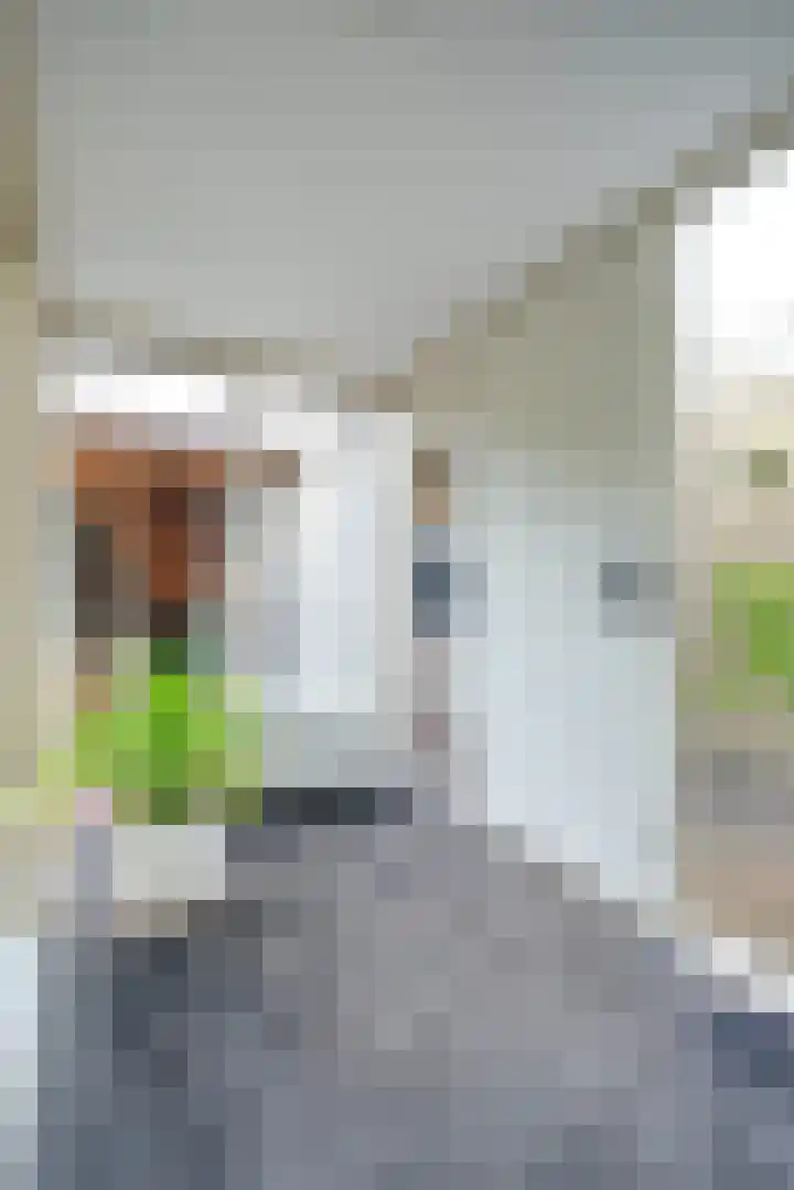 Nienhof 2 Ede thumbnail 15
