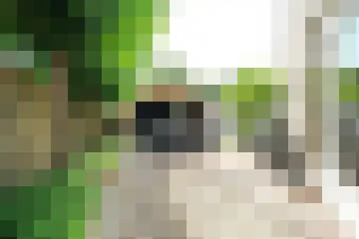 Nienhof 2 Ede thumbnail 36