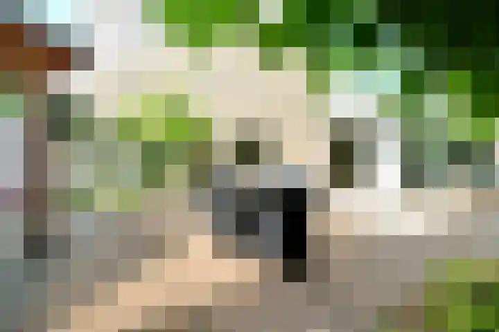 Nienhof 2 Ede thumbnail 37