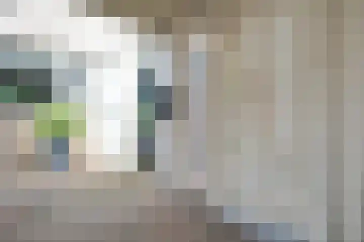 Nienhof 2 Ede thumbnail 38