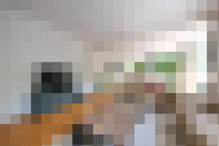 Nienhof 2 Ede thumbnail 6