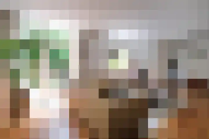 Nienhof 2 Ede thumbnail 7