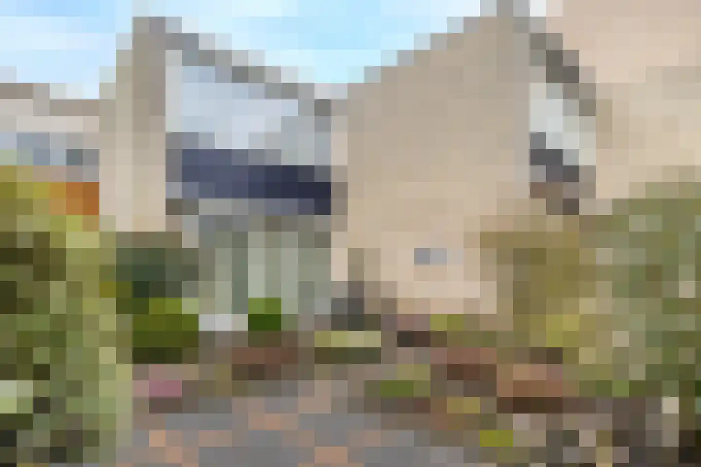 Nienhof 68 Ede thumbnail 21