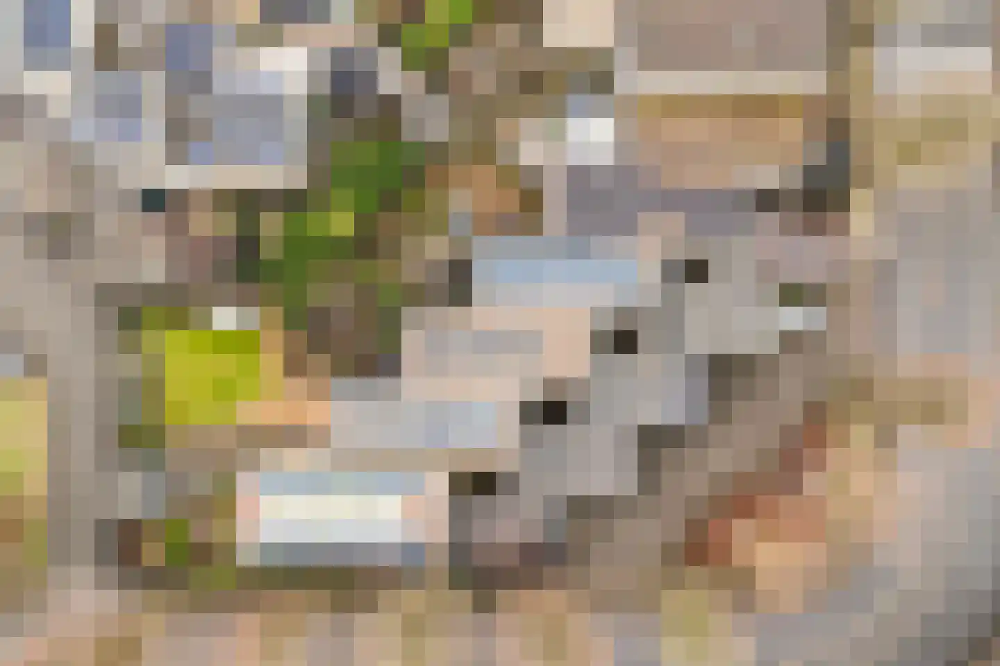 Nienhof 68 Ede thumbnail 39
