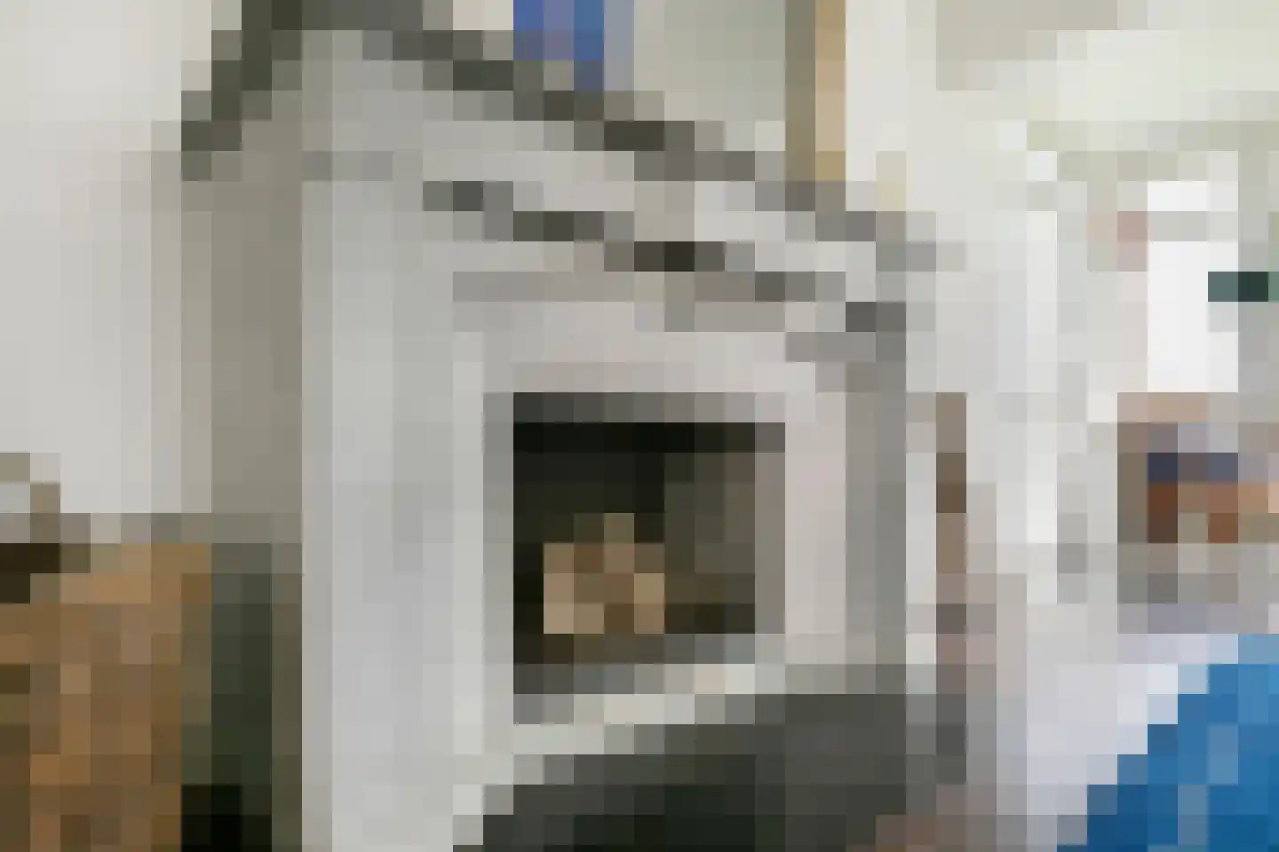 Nienhuis Ruijskade 1 Muiderberg thumbnail 11