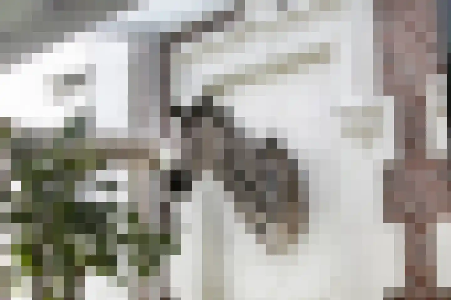Nienhuis Ruijskade 1 Muiderberg thumbnail 23