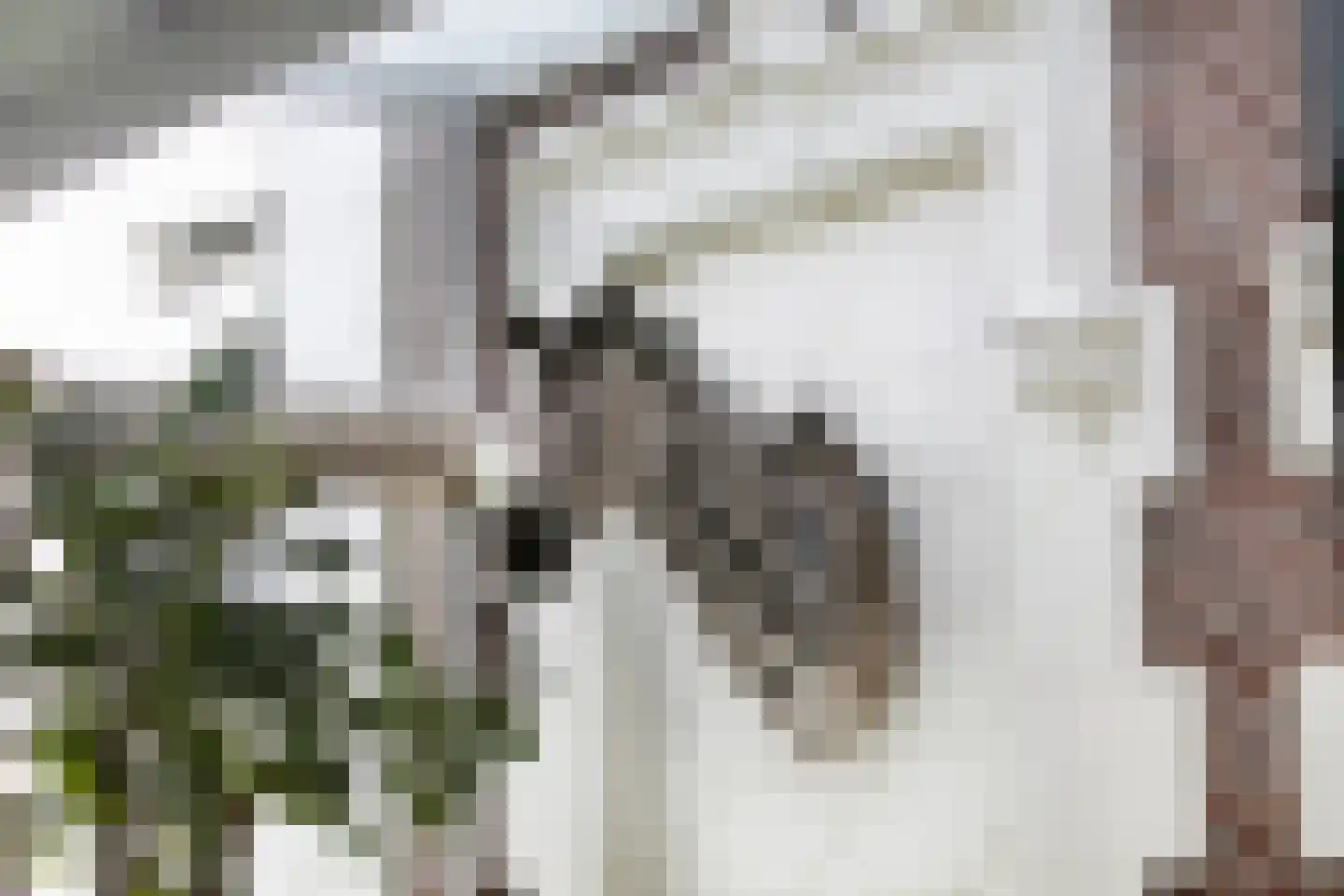Nienhuis Ruijskade 1 Muiderberg thumbnail 23