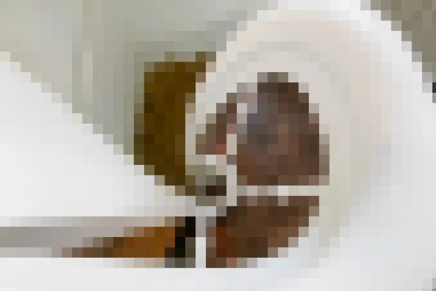 Nienhuis Ruijskade 1 Muiderberg thumbnail 50