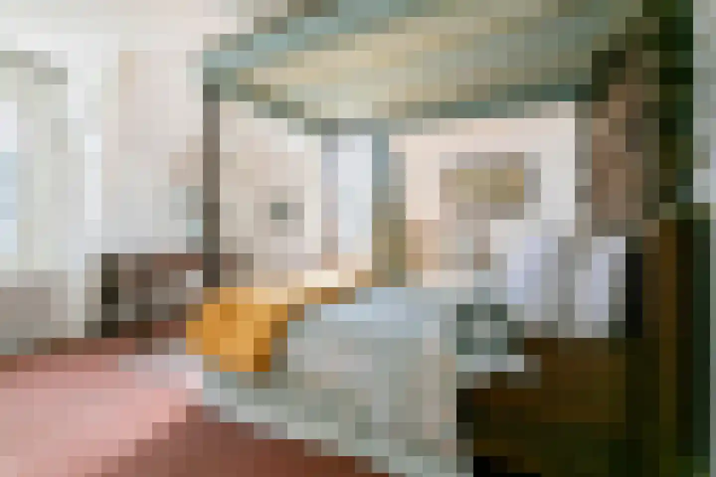 Nienhuis Ruijskade 1 Muiderberg thumbnail 51