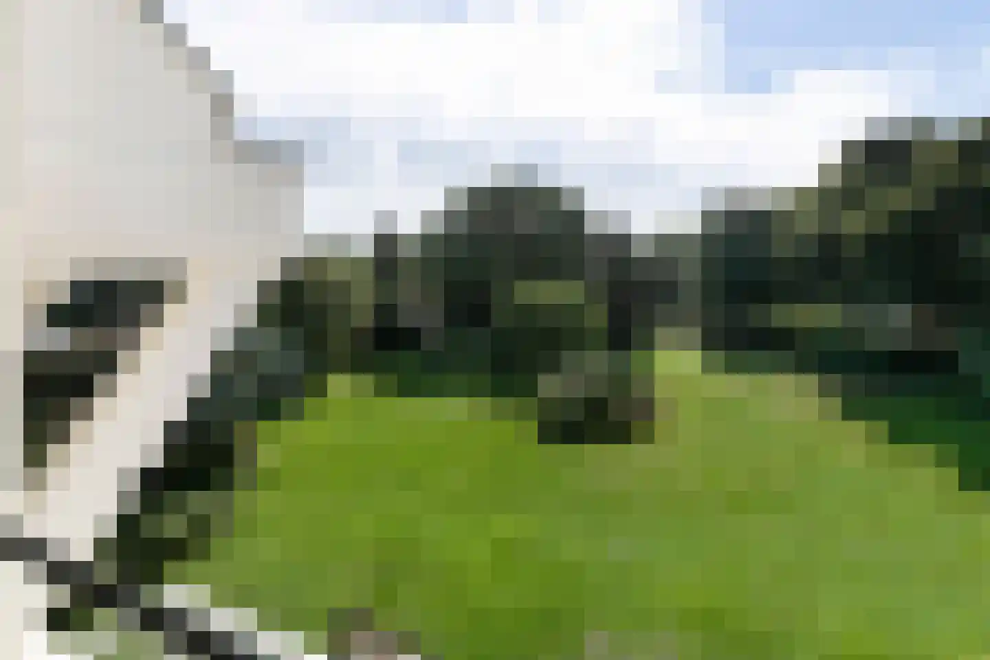 Nienhuis Ruijskade 1 Muiderberg thumbnail 56