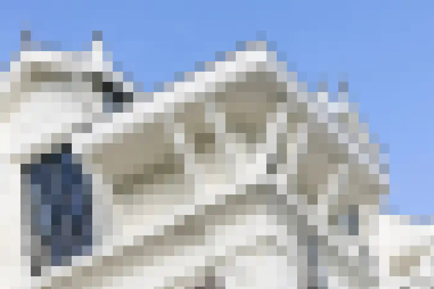 Nienhuis Ruijskade 1 Muiderberg thumbnail 7