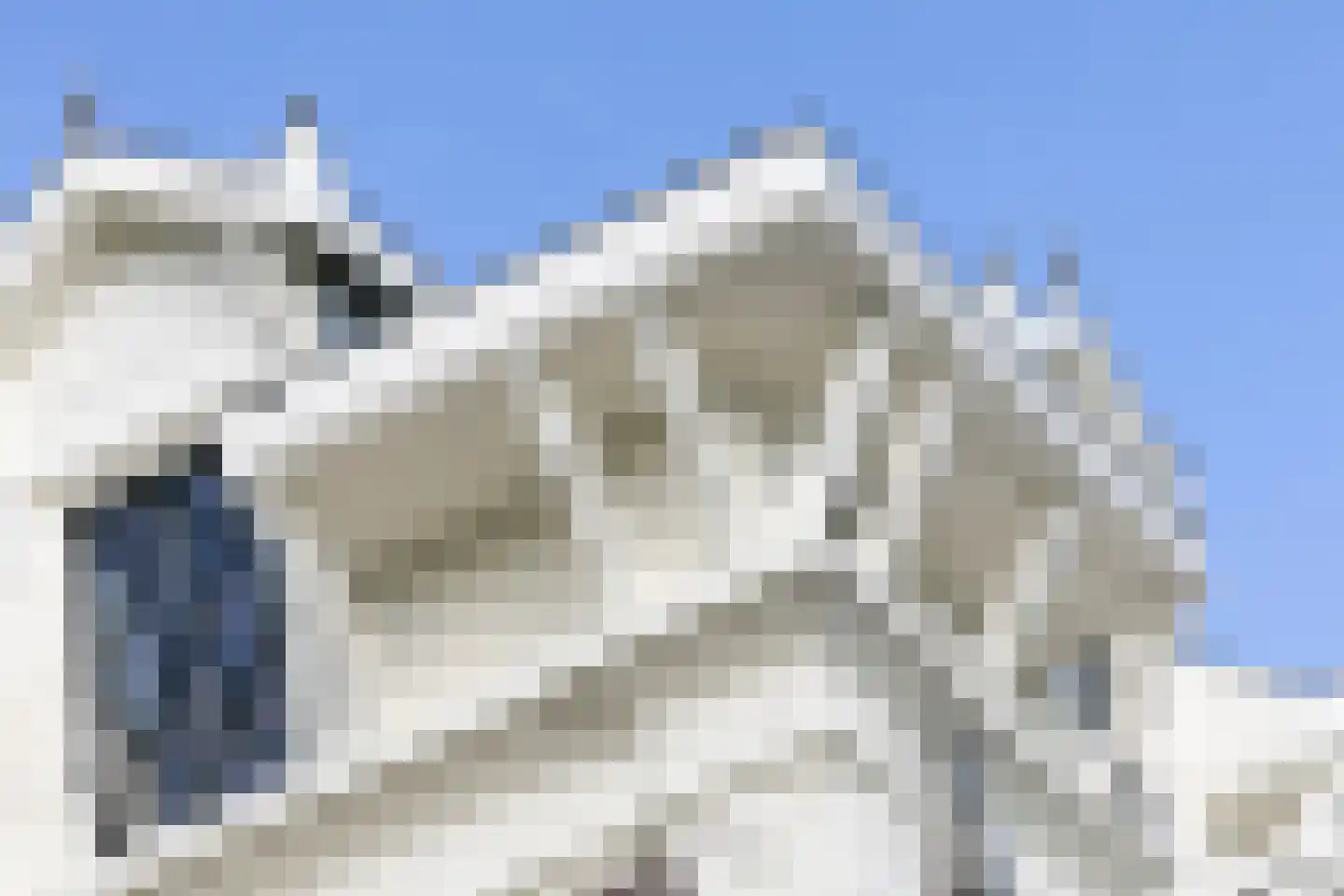 Nienhuis Ruijskade 1 Muiderberg thumbnail 7