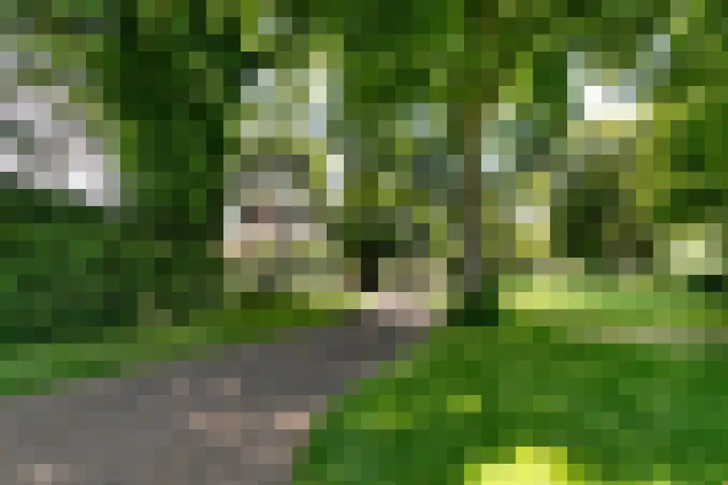 Nienhuis Ruijskade 1 Muiderberg thumbnail 73