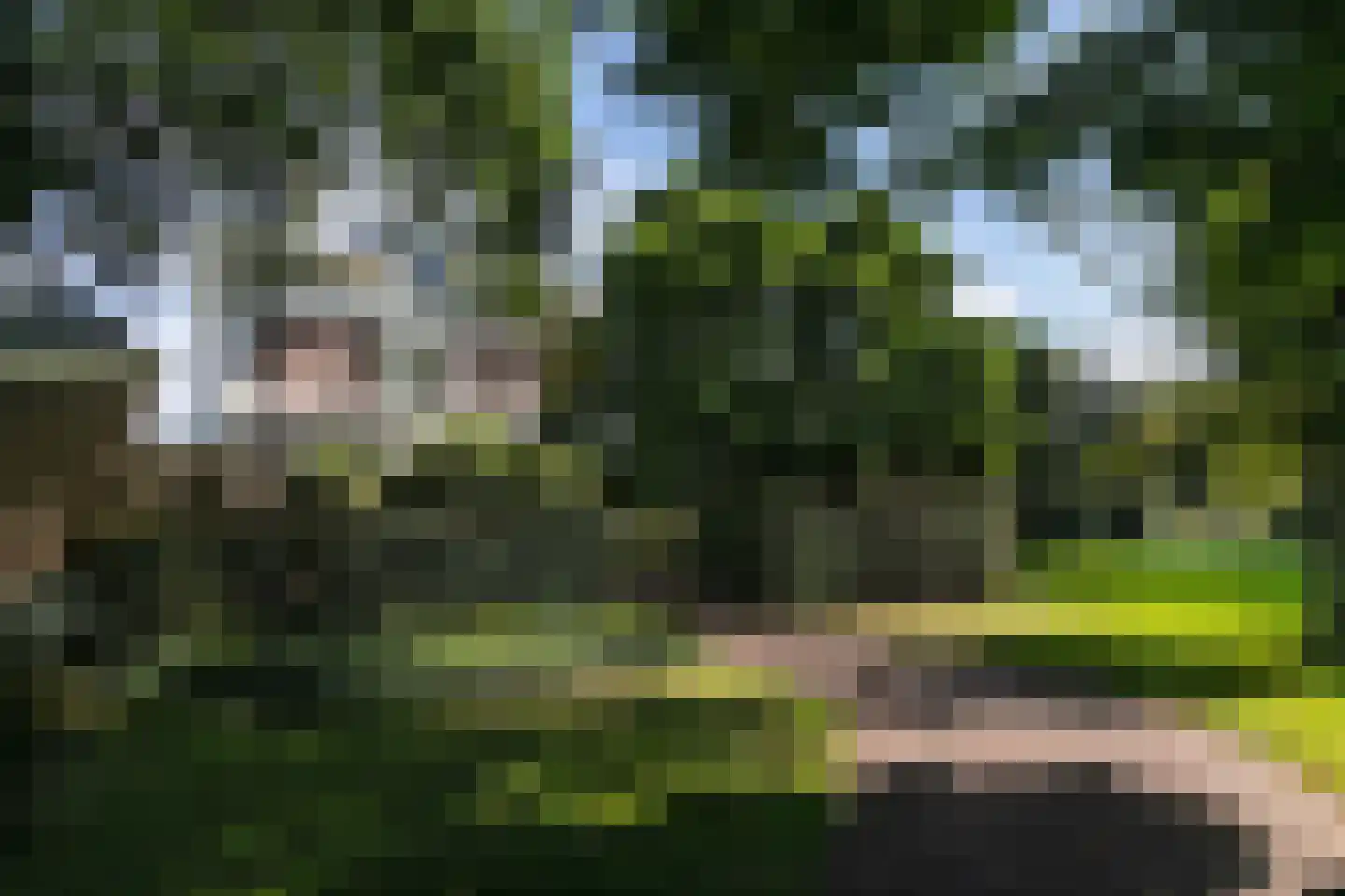 Nienhuis Ruijskade 1 Muiderberg thumbnail 74