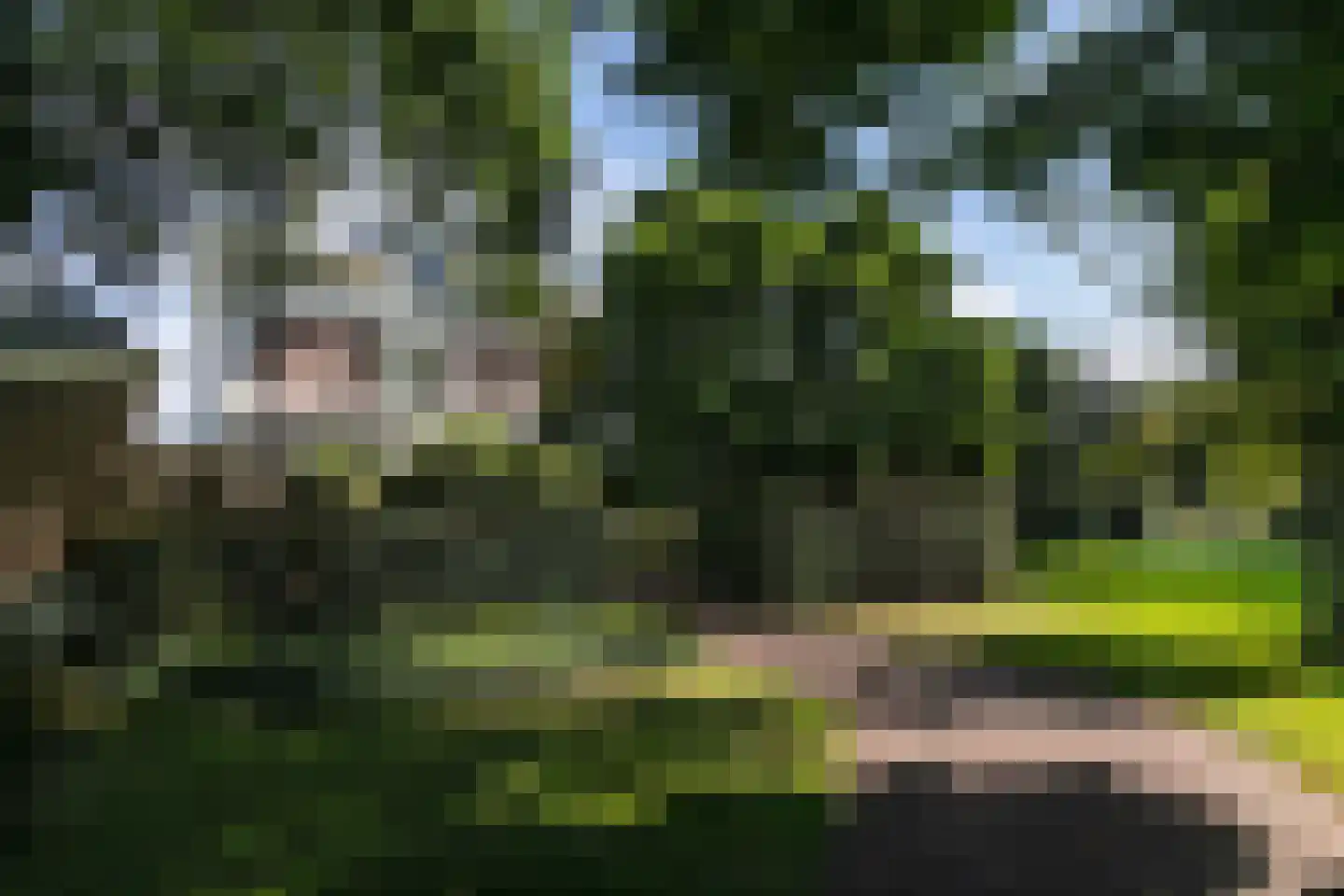 Nienhuis Ruijskade 1 Muiderberg thumbnail 74
