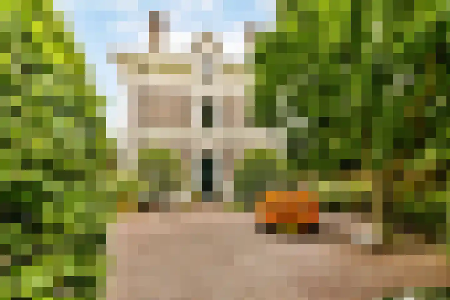 Nienhuis Ruijskade 1 Muiderberg thumbnail 78