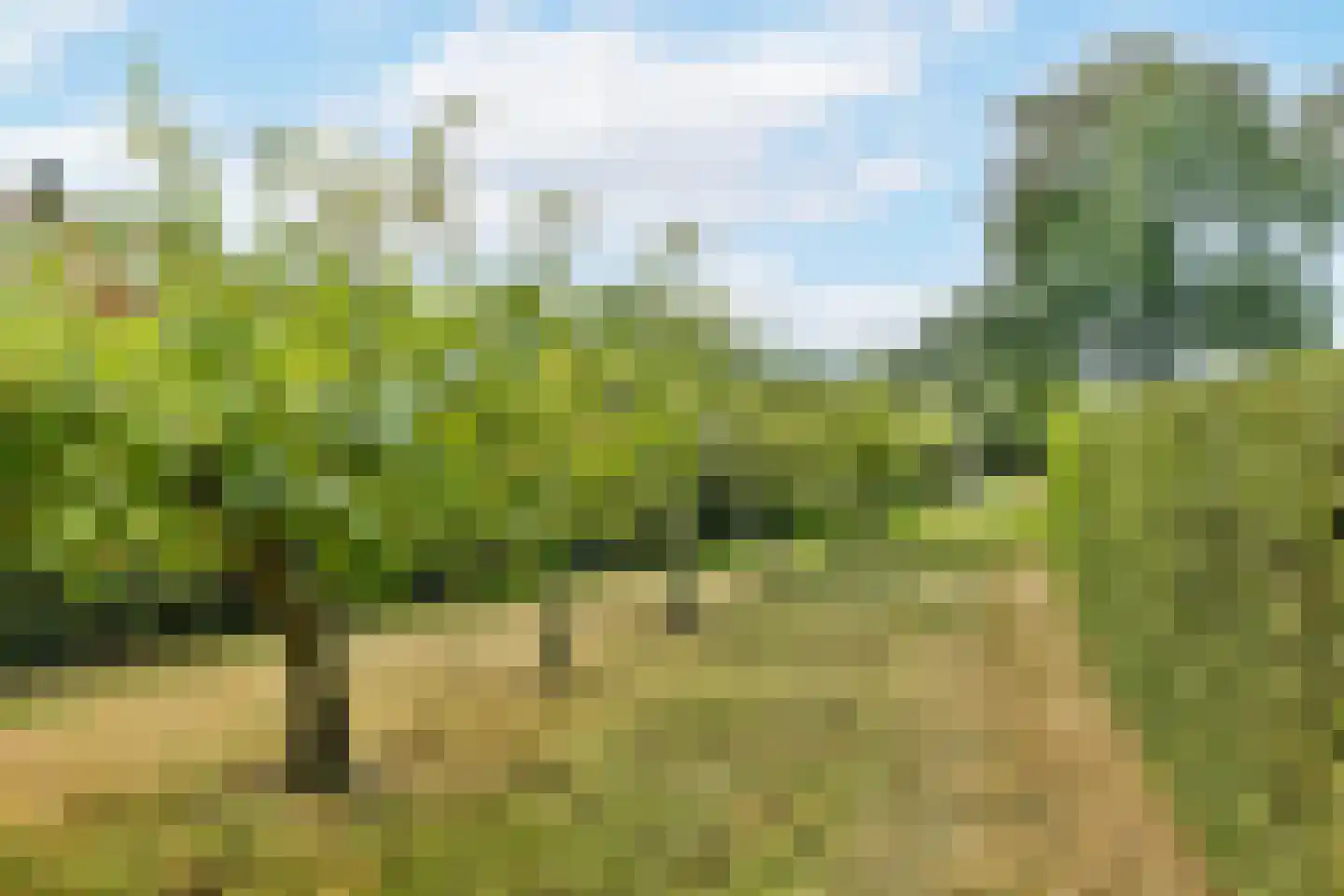 Nienhuis Ruijskade 1 Muiderberg thumbnail 80