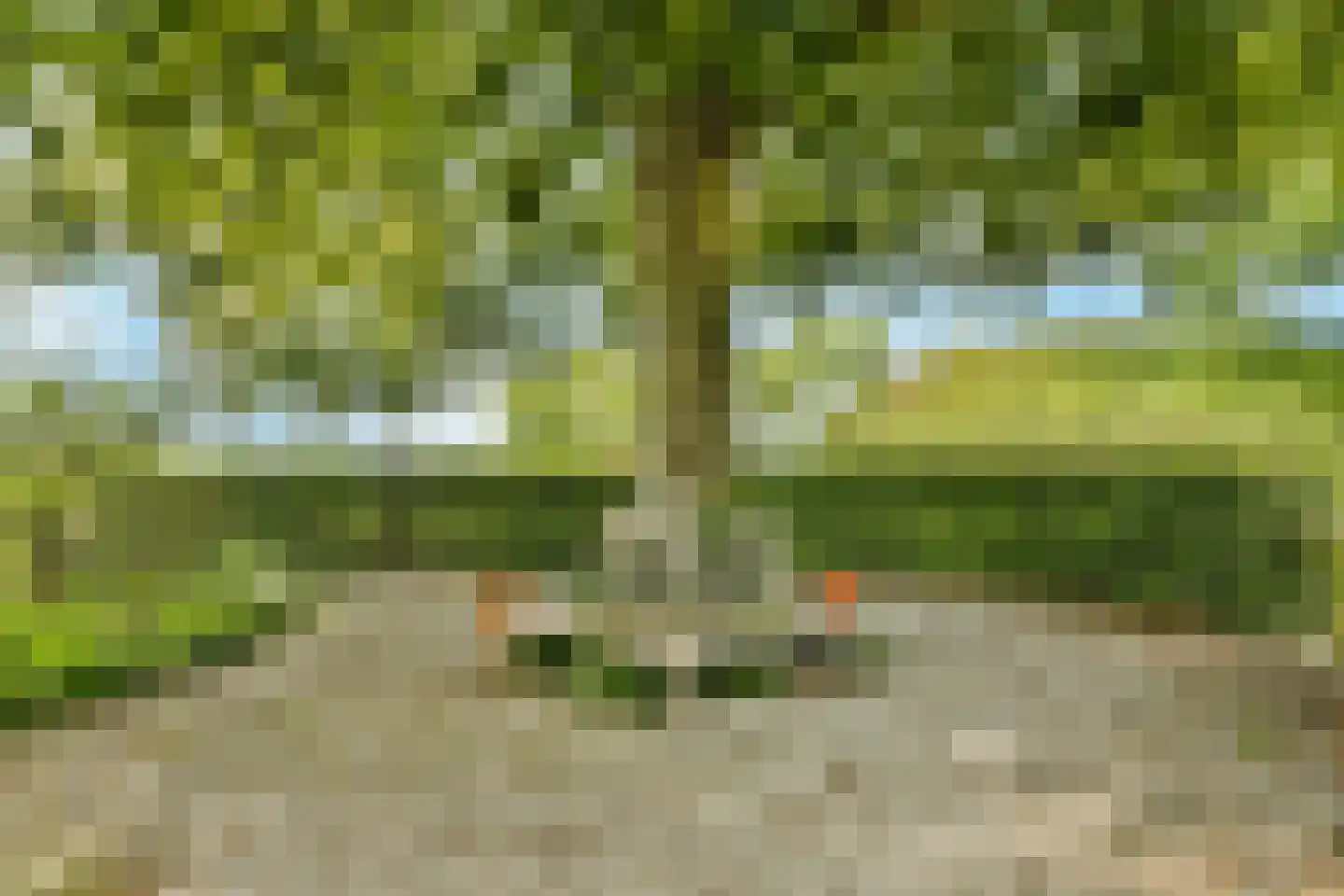 Nienhuis Ruijskade 1 Muiderberg thumbnail 81