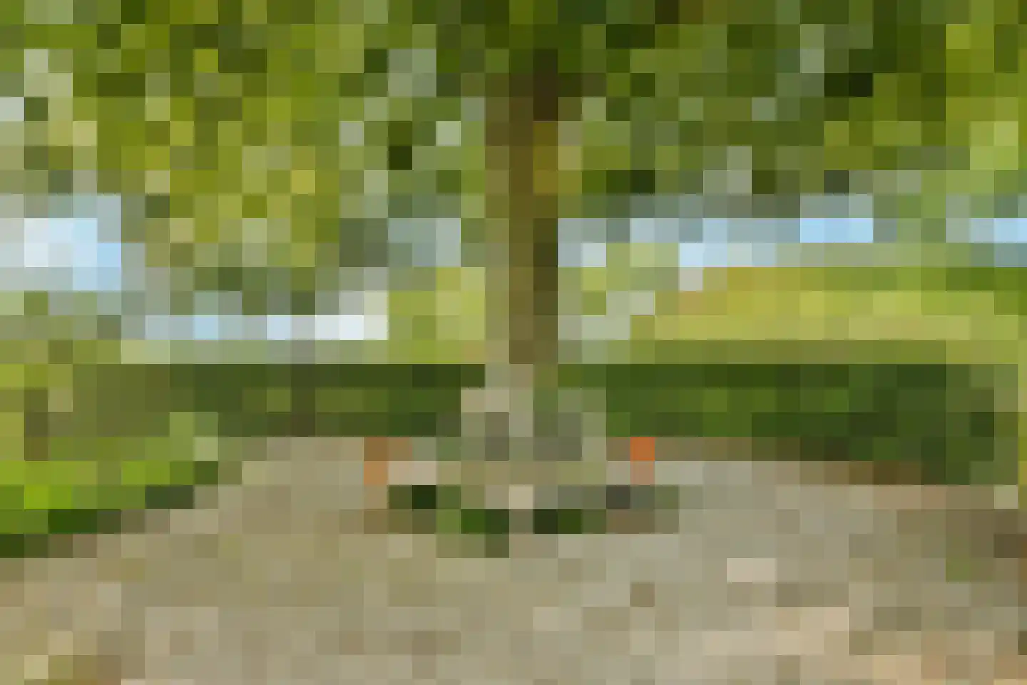 Nienhuis Ruijskade 1 Muiderberg thumbnail 81