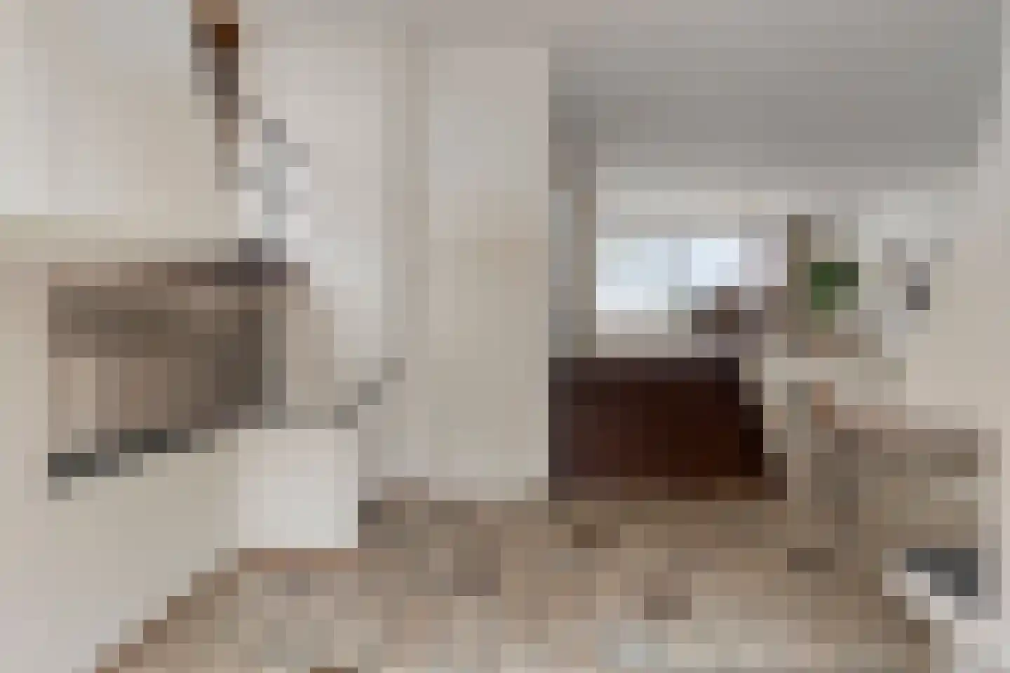 Nienhuis Ruijskade 30 Muiderberg thumbnail 13