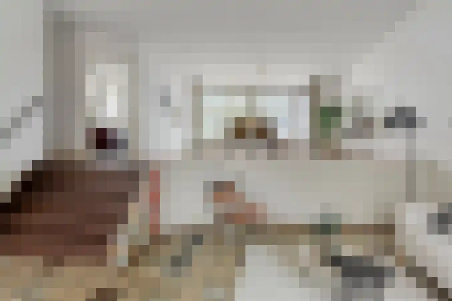 Nienhuis Ruijskade 30 Muiderberg thumbnail 14