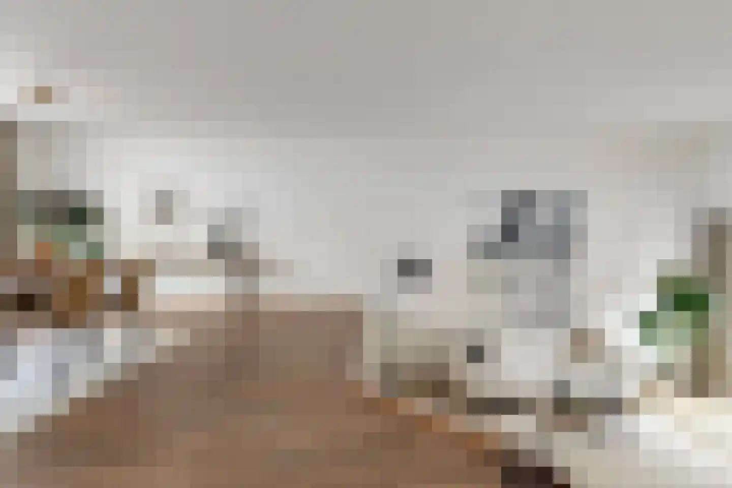 Nienhuis Ruijskade 30 Muiderberg thumbnail 18