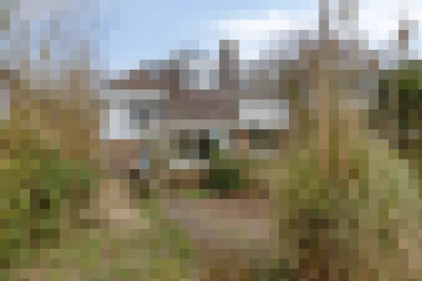 Nienhuis Ruijskade 30 Muiderberg thumbnail 31