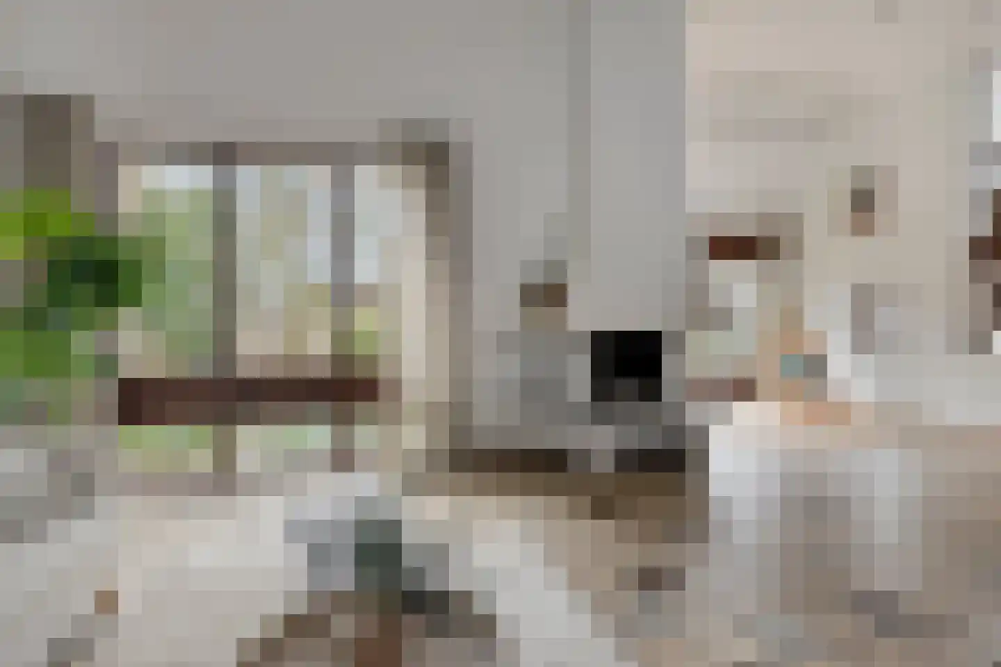 Nienhuis Ruijskade 30 Muiderberg thumbnail 5