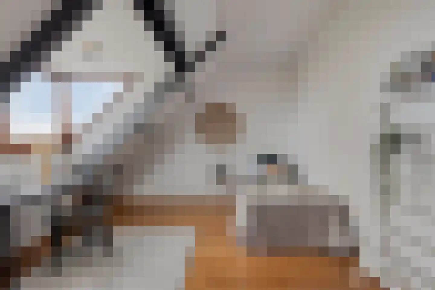 Nienhuis Ruijskade 30 Muiderberg thumbnail 51
