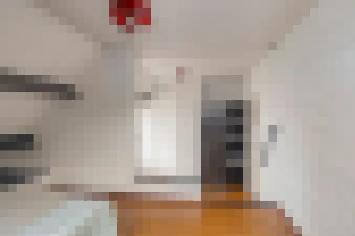 Nienhuis Ruijskade 30 Muiderberg thumbnail 56