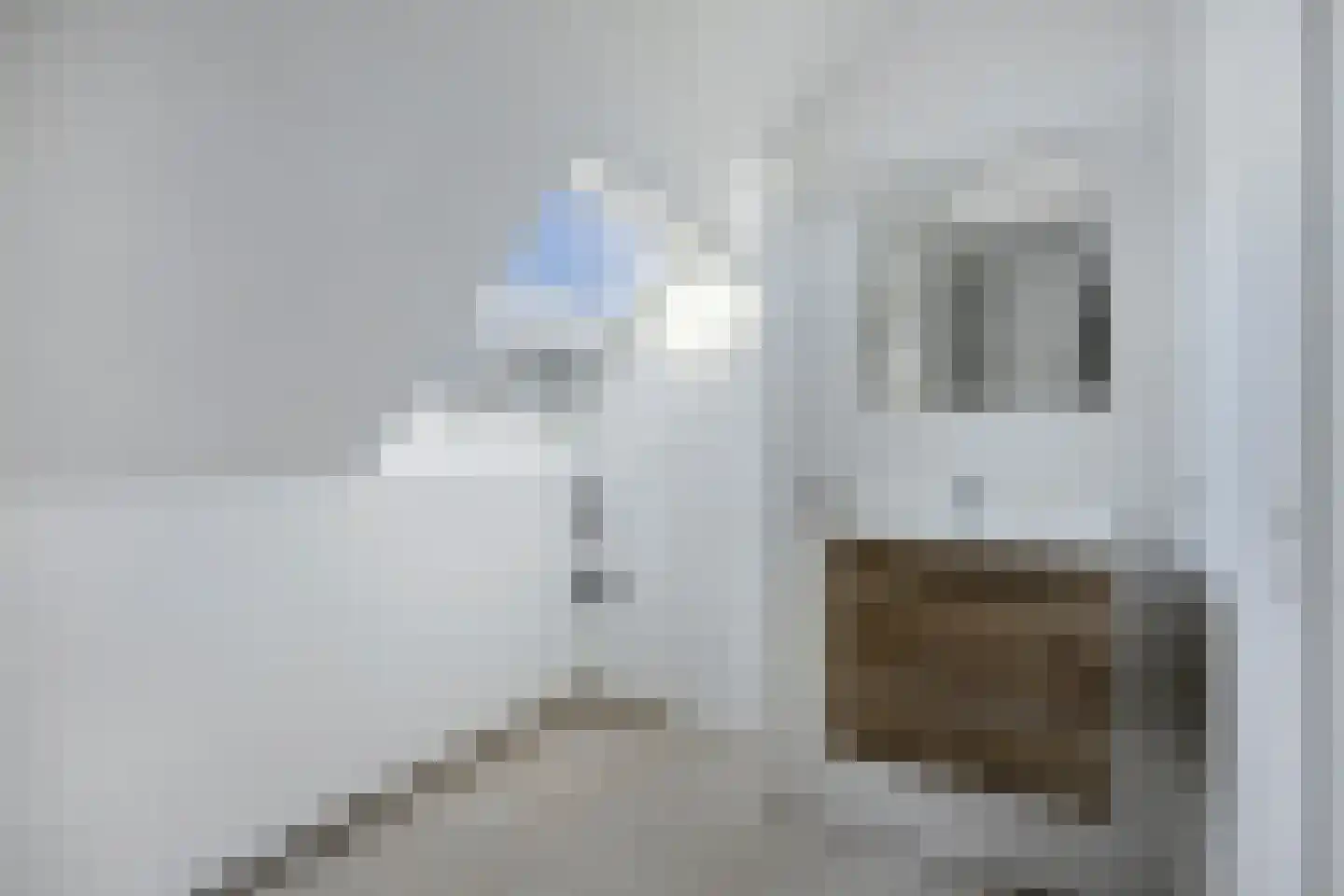 Nienhuis Ruijskade 43 Muiderberg thumbnail 35