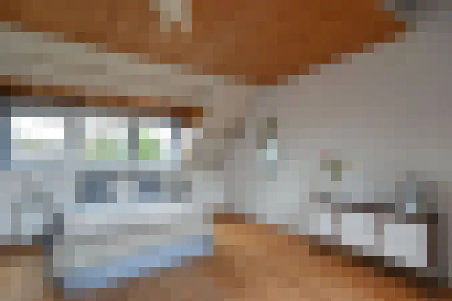 Nienhuis Ruijskade 54 Muiderberg thumbnail 11
