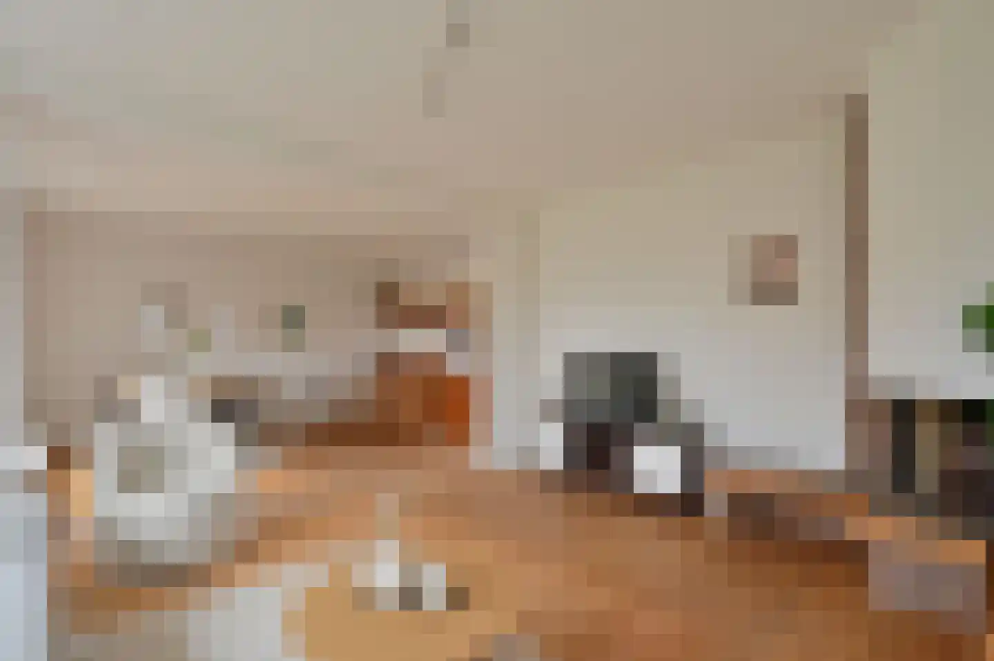 Nienhuis Ruijskade 54 Muiderberg thumbnail 5