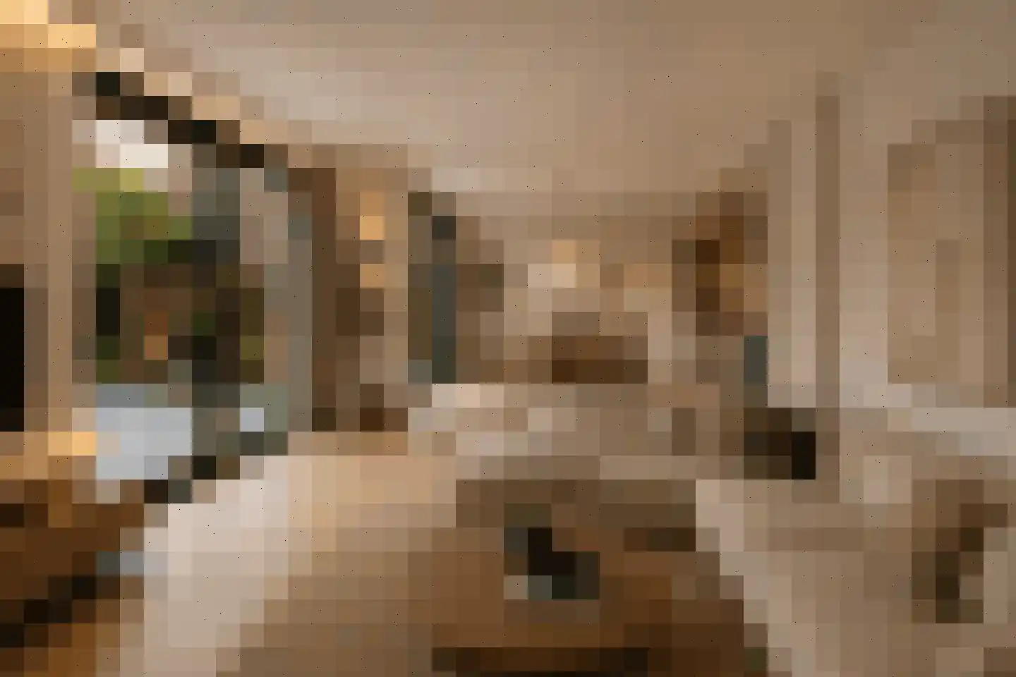Nienhuis Ruijskade 78 Muiderberg thumbnail 12