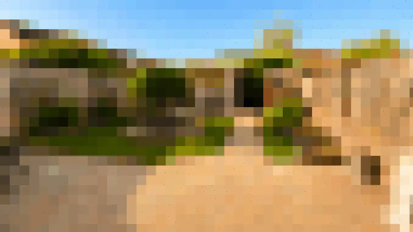 Nienhuis Ruijskade 78 Muiderberg thumbnail 15