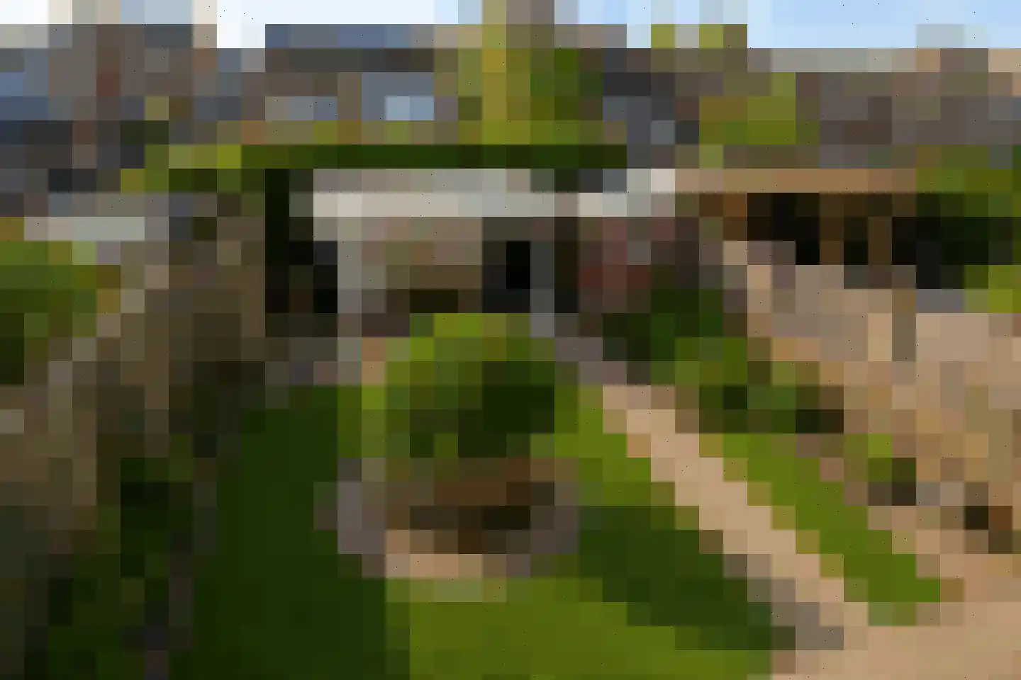 Nienhuis Ruijskade 78 Muiderberg foto 2