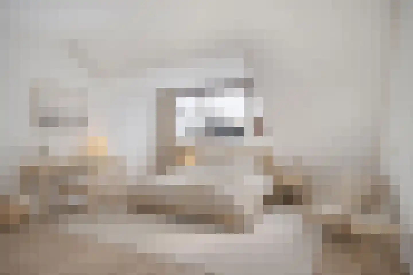 Nienhuis Ruijskade 78 Muiderberg thumbnail 42