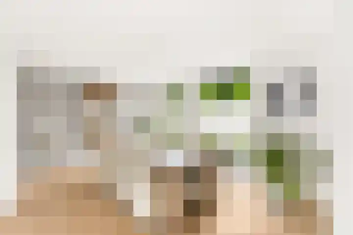 Nienke van Hichtumlaan 7 Vlissingen thumbnail 19