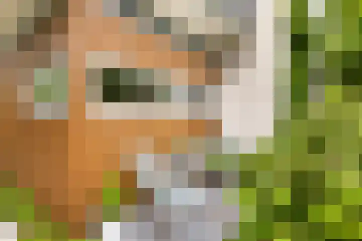 Nienke van Hichtumlaan 7 Vlissingen thumbnail 25