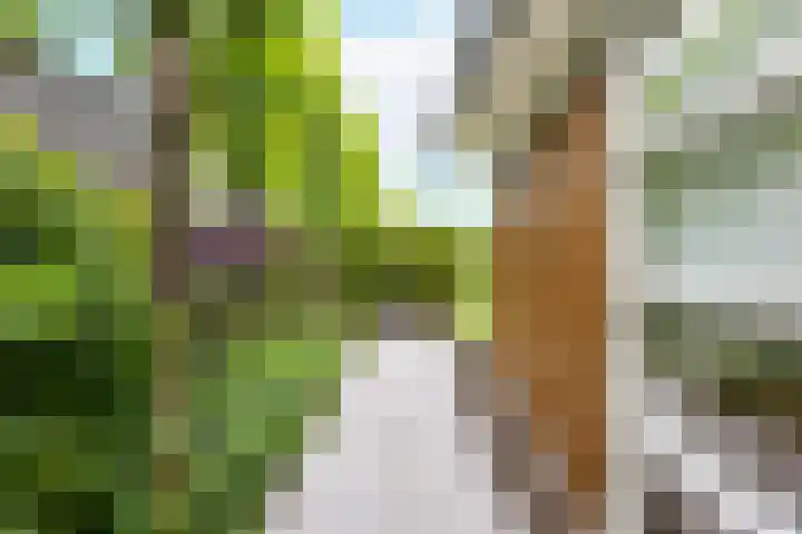 Nienke van Hichtumlaan 7 Vlissingen thumbnail 26