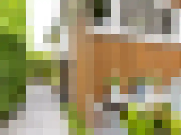 Nienke van Hichtumlaan 7 Vlissingen thumbnail 27