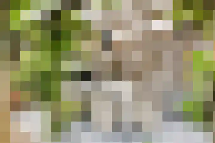 Nienke van Hichtumlaan 7 Vlissingen thumbnail 35