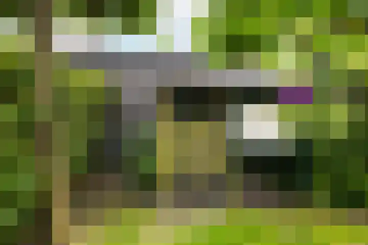 Nienke van Hichtumlaan 7 Vlissingen thumbnail 39