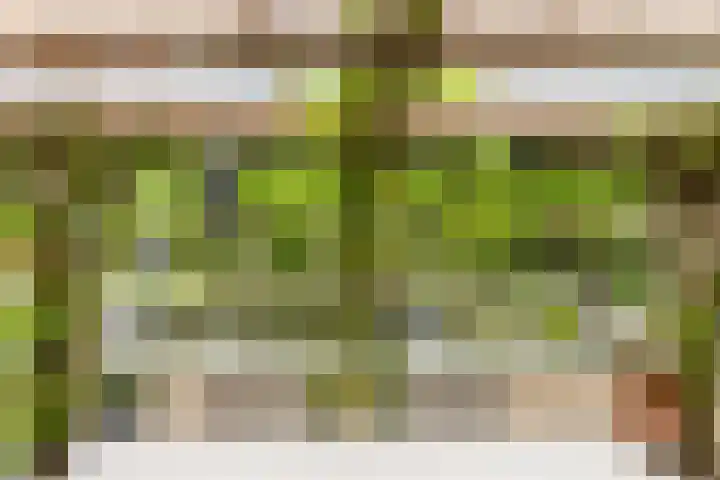 Nienke van Hichtumlaan 7 Vlissingen thumbnail 40