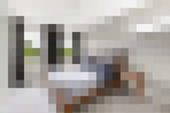 Nienke van Hichtumlaan 7 Vlissingen thumbnail 41