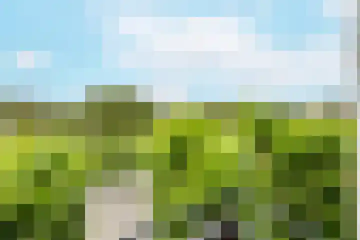 Nienke van Hichtumlaan 7 Vlissingen thumbnail 44