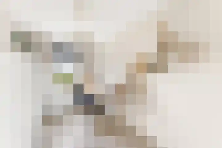 Nienke van Hichtumlaan 7 Vlissingen thumbnail 47